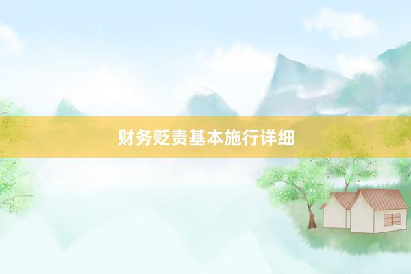 财务贬责基本施行详细