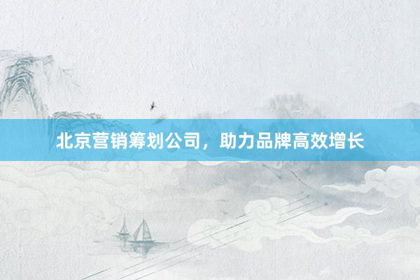 北京营销筹划公司，助力品牌高效增长